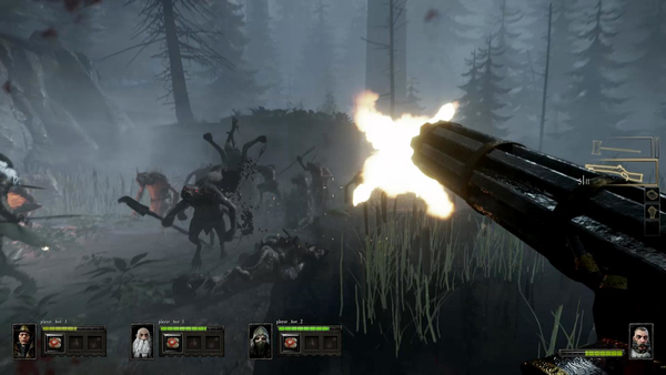 Warhammer: End Times - Vermintide Collector's