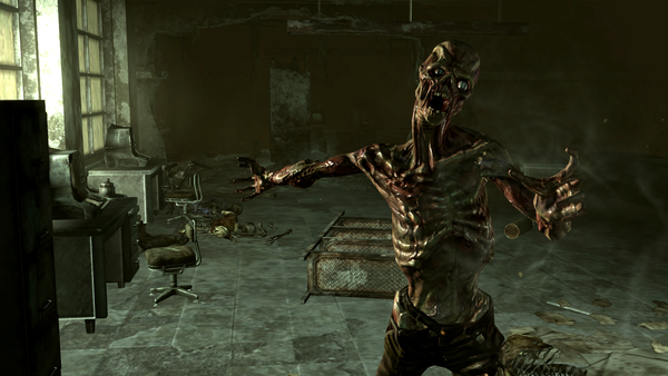 Fallout 3  PC Download