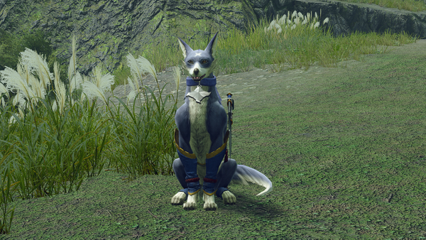MONSTER HUNTER RISE Deluxe Edition
